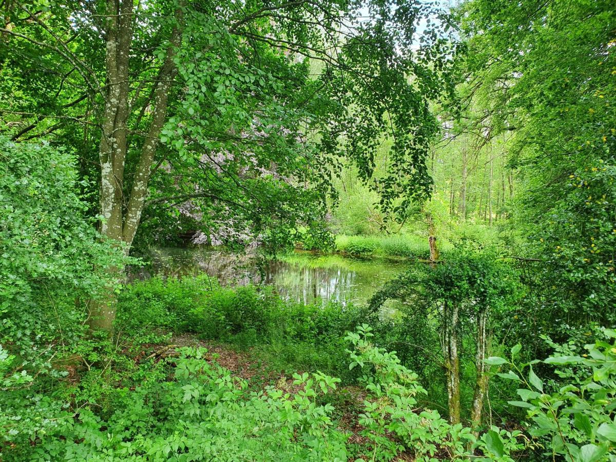 Sur La Rive Vierre Villa Suxy Dış mekan fotoğraf